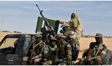 নাইজারে সন্ত্রাসীদের হামলায় ২৩ জন সেনা নিহত