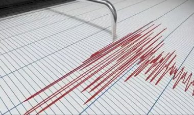 জাপানে শক্তিশালী ভূমিকম্প আঘাত