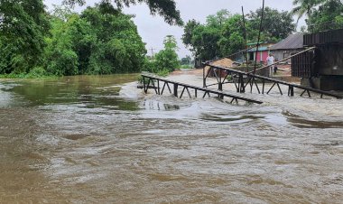 ফেনী-নোয়াখালী যাচ্ছে ২৫০ বোট: সমন্বয়ক নুসরাত