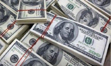 হঠাৎ করেই বাড়তে শুরু করেছে ডলারের দাম