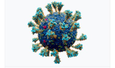 যুক্তরাজ্যে বাড়ছে নরো ভাইরাসের প্রকোপ