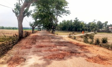 সড়ক তো নয়, যেন মৃত্যুর ফাঁদ