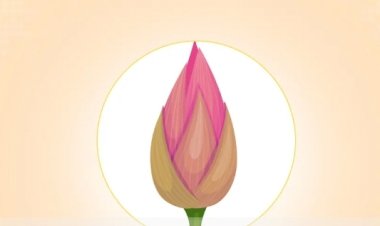 শাপলা কলি’ প্রতীক নিতে সম্মত এনসিপি