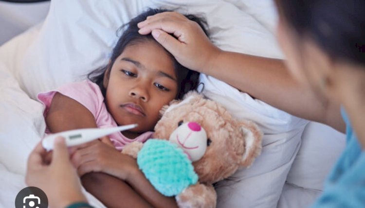 সিলেটে শীতে জলবায়ু পরিবর্তনের প্রভাব: ঘরে অসুস্থতা, হাসপাতালে ভীড় 