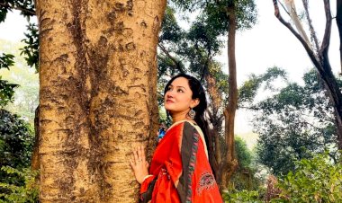 জমানো আক্ষেপ