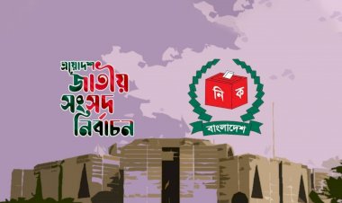 যুক্তরাজ্যের নাগরিকত্ব ছেড়ে নির্বাচনে, মনোনয়নপত্র বাতিল