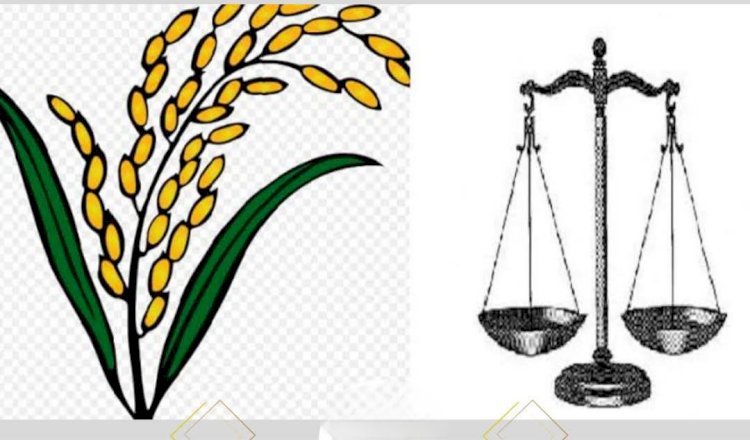 সিলেটে ধানের শীষে ভোট ৫৬ শতাংশ দাড়ি পাল্লায় ৩৬ শতাংশ